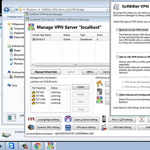 SoftEther VPN Client+SERVER Manager 2