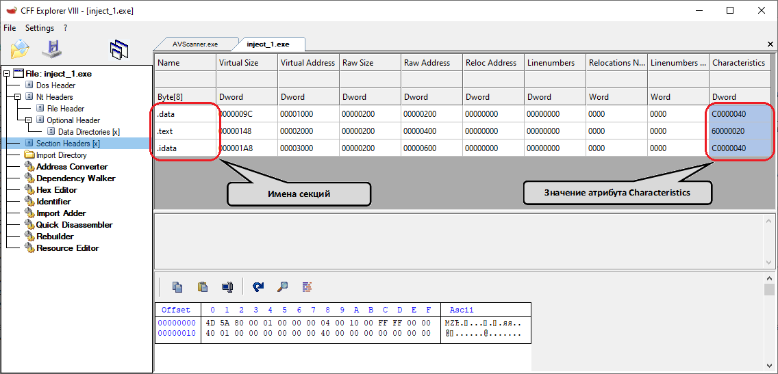 Таблица секций в CFF Explorer