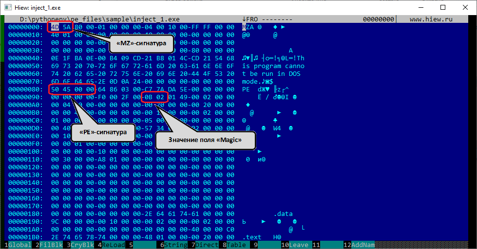 Признаки PE-файла в HEX-редакторе Hiew