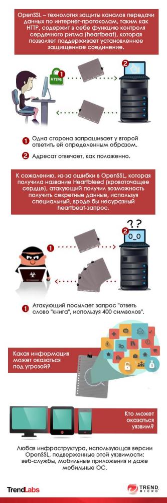 www.anti_malware.ru_files_adm_500x1500_20web_infographic_rus.jpg